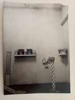Delcampe - Ce329,foto Capua,museo Campano,provincia Di Caserta - Caserta
