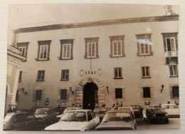 Delcampe - Ce326,foto Capua,municipio,provincia Di Caserta - Caserta
