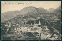 Delcampe - Cuneo Demonte Valle Stura Panorama Cartolina MT6538 - Cuneo