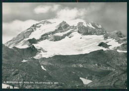 Delcampe - Vercelli Alagna Valsesia Monte Rosa Dal Colle D'Olen Foto FG Cartolina MZ4410 - Vercelli