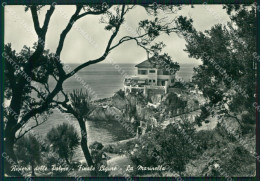 Delcampe - Savona Finale Ligure Foto FG Cartolina ZK1243 - Savona