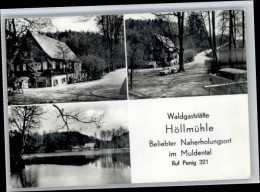 Delcampe - Penig Gaststaette Hoellmuehle Muldental X - Penig