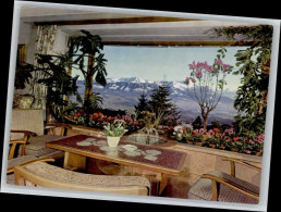 Delcampe - Sonthofen Oberallgaeu Gasthaus Allgaeuer Berghof * - Sonthofen