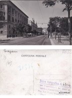Delcampe - # TRAPANI: BOZZA FOTOGRAFICA - VIALE REGINA ELENA - Trapani
