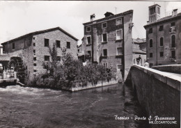 Delcampe - # TREVISO: PONTE S. FRANCESCO - Treviso