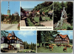 Delcampe - Pappenheim - Pappenheim