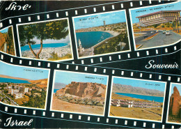 Delcampe - CPM Israel - Israel