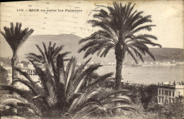 Delcampe - CPA Nice Vu Entre Les Palmiers - Panoramic Views