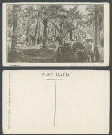 Delcampe - IRAQ Old Postcard Mesopotamia Artillery Encamped In Date Palms Soldiers & Horses - Irak