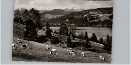Delcampe - Feldberg Schwarzwald Hotel Feldbergerhof - Feldberg
