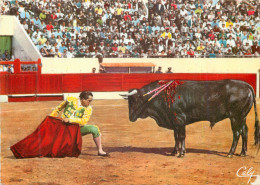 Delcampe - CPM Un Adorno De Aparicio Corrida Taureau - Stierkampf
