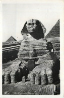 Delcampe - CPM Egypte Sphynx - Sonstige & Ohne Zuordnung