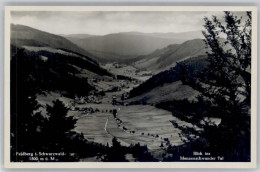 Delcampe - Feldberg Schwarzwald Menzenschwander Tal - Feldberg