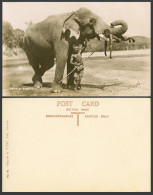Delcampe - Ceylon Old Real Photo Postcard Boy On Temple Elephant's Teeth Native Trainer Man - Sri Lanka (Ceylon)