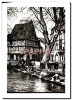 Delcampe - CPM Colmar Le Lavoir De La Place De La Sinne Lavandieres - Colmar