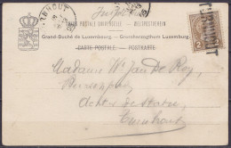 Delcampe - Luxembourg - CP "Pont Adolphe" Affr. 2c Brun Non Oblitéré Au Départ Mais Annulé Griffe "TURNHOUT à L'arrivée - Càd Arriv - 1895 Adolphe De Profil