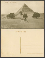 Delcampe - Egypt Old Postcard Cairo, The Pyramids, Camel Rider Palm Tree & Trees Desert 597 - Sonstige & Ohne Zuordnung