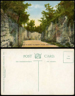 Delcampe - Bermuda Old Colour Postcard Cut In Road To North Shore, Bermuda Drug Co. No. 52 - Bermuda