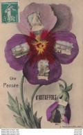 Delcampe - L25-47) ASTAFFORT - UNE PENSEE  -  FLEUR  MULTIVUES - EDIT J.TAPIE , AUCH - 1908 -  ) - Astaffort