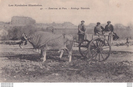 Delcampe - 64) ENVIRONS DE PAU - ATTELAGE BEARNAIS - ANIMATION - BOEUFS AVEC PAYSANS - EN 1908 - 2 SCANS ) - Pau