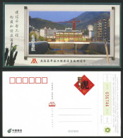Delcampe - China Post 2010 Tiger New Year Postcard Wuxi Chongqing - China
