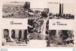 Delcampe - TLEMCEN - SOUVENIR -  VUE GENERALE -  MINARET DE MARSOURAN  - ESPLANADE DE MECHOUAR - GRANDE MOSQUEE - ETC.. ( 2 SCANS ) - Tlemcen