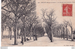 Delcampe - L37-49) CHOLET - MAINE ET LOIRE - LA  PROMENADE AU JARDIN PUBLIC - ANIMATION - Cholet