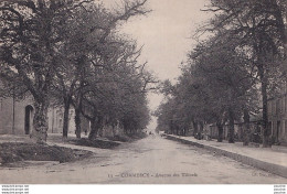 Delcampe - L19-55) COMMERCY - AVENUE DES TILLEULS - EN 1914 -  ( 2 SCANS ) - Commercy