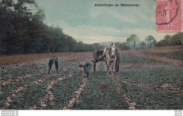 Delcampe - AGRICULTURE - ARRACHAGE DE BETTERAVES ATTELAGE CHEVAL + TAMPON  AMBULANT CONVOYEUR  DE AGEN A AGEN EN 1907 - ( 2 SCANS ) - Landwirtschaftl. Anbau