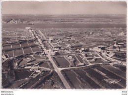 Delcampe - L39-17) LA TREMBLADE - CHARENTE - MARITIME -  VUE AERIENNE DES PARCS A HUITRES   - ( 2 SCANS ) - La Tremblade