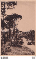 Delcampe - L15-44) LA BAULE SUR MER - UNE VUE DE LA FORET  - ( 2 SCANS ) - Herbignac