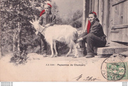 Delcampe - SUISSE - PAYSANNES DE CHAMPERY - TRAITE D UNE CHEVRE - EN 1905 - Champéry