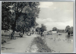 Delcampe - Muehlhausen Thueringen Hwanenteich * - Mühlhausen