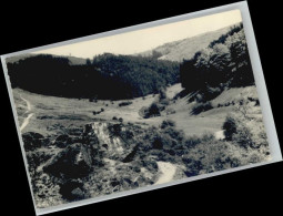 Delcampe - Suhl Thueringer Wald Suhl - Suhl