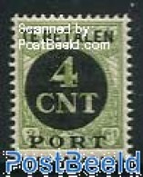 Delcampe - Netherlands 1924 4c On 3c, Stamp Out Of Set, Mint NH - Taxe