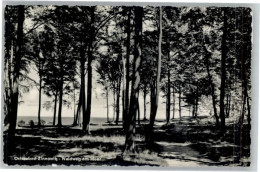 Delcampe - Zinnowitz Ostseebad Usedom Zinnowitz - Zinnowitz