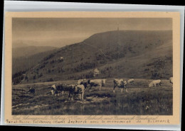 Delcampe - Seebuck Bismarck-Denkmal - Feldberg