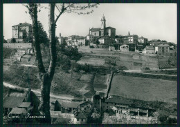 Delcampe - Cuneo Carrù Foto FG Cartolina MZ2001 - Cuneo
