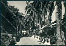 Delcampe - Savona Alassio Foto FG Cartolina ZK2859 - Savona
