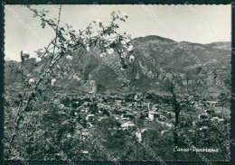 Delcampe - Como Canzo Foto FG Cartolina KB4411 - Como