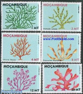 Delcampe - Mozambique 1983 Sea Plants 6v, Mint NH - Mozambique