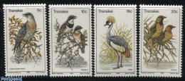 Delcampe - South Africa, Transkei 1980 Birds 4v, Mint NH, Nature - Birds - Transkei
