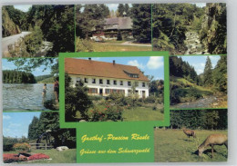 Delcampe - Bernau Schwarzwald Bernau Gasthof Pension Roessle - Bernau