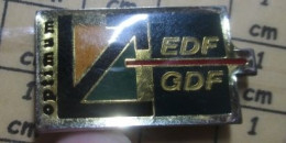 Delcampe - Pin513i   EDF GDF OPTIMUM - Animaux