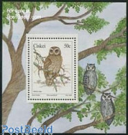 Delcampe - Ciskei 1991 Owls S/s, Mint NH, Nature - Birds - Owls - Ciskei
