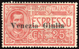 Delcampe - Venezia Giulia - Espresso Cent. 25 Ottimo Ben Centrato - Other & Unclassified