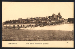 Delcampe - AK Breisach, Teilansicht Mit Schloss Vom Linken Rheinufer Gesehen - Breisach