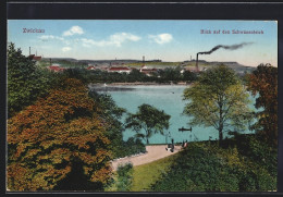 Delcampe - AK Zwickau, Blick Auf Den Schwanteich - Zwickau