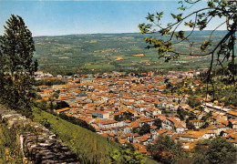 Delcampe - MAZAMET Centre Mondial De Delainage Vue Generale 25(scan Recto-verso) MA902 - Mazamet