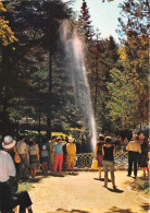 Delcampe - VALS LES BAINS La Source Intermittente 18(scan Recto-verso) MA901 - Vals Les Bains